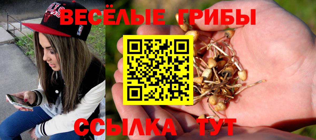 Ачхой-Мартан  Псилоцибиновые грибы GOLDEN TEACHER  Вход с VPN 